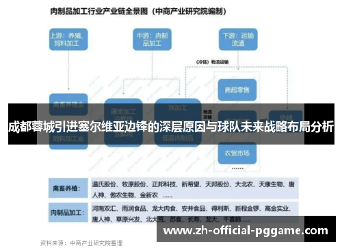 成都蓉城引进塞尔维亚边锋的深层原因与球队未来战略布局分析