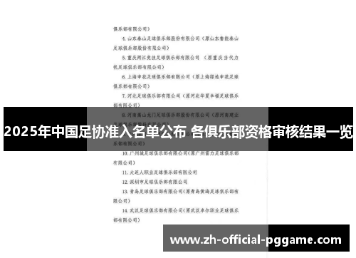2025年中国足协准入名单公布 各俱乐部资格审核结果一览