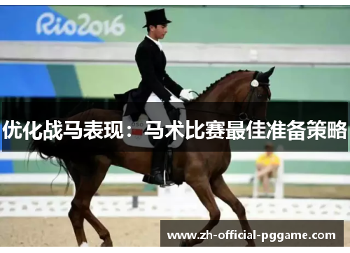 优化战马表现：马术比赛最佳准备策略