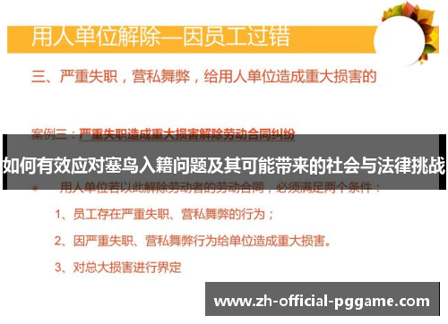 如何有效应对塞鸟入籍问题及其可能带来的社会与法律挑战