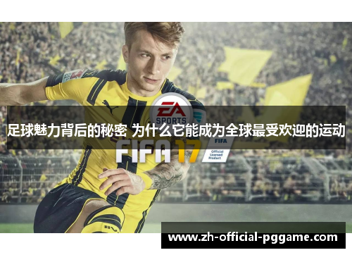 足球魅力背后的秘密 为什么它能成为全球最受欢迎的运动